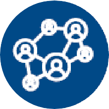 Network icon